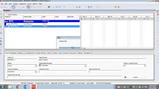 Creating a New Project  Primavera P6 Basics Course 13 [upl. by Benson930]