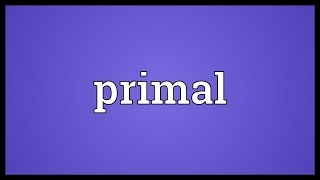 Primal Meaning [upl. by Llenyt104]