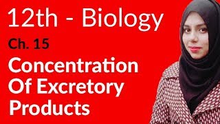 2nd Year Biology Ch 15  Concentration of Excretory Products  FSc Biology Book 2 [upl. by Verneuil]