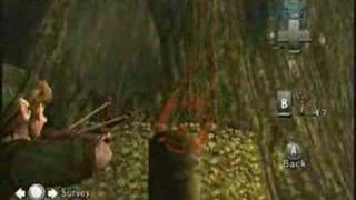 LoZ Twilight Princess Part 14 Forest Temple 1  Ooccoo [upl. by Philander294]