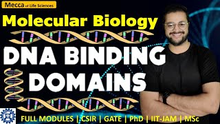 DNA Binding Domains  DNA binding Motifs  HTH  HLH  Homeodomain  dna transcription [upl. by Rosena]