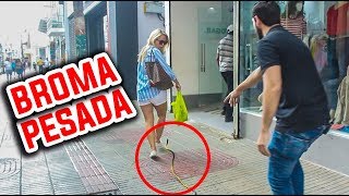 Las Mejores BROMAS PESADAS De La SERPIENTE l Humor l Videos De Risa [upl. by Lindahl]