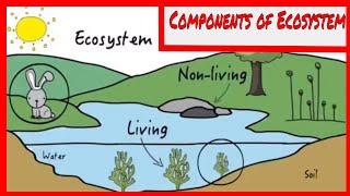 Components of the Ecosystem  Free Tutorial [upl. by Corette249]