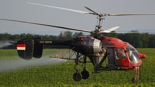 Kamov Ka26 spraying sunflower field near Somogyvámos Hungary [upl. by Nanete]