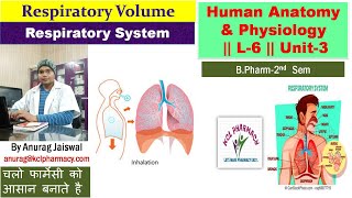 Respiration System  L6 Uni3  Respiratory Volume [upl. by Nodgnal]