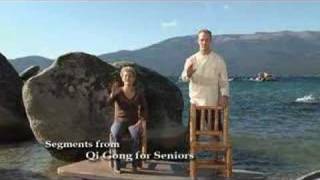 Qi Gong for Seniors with Lee Holden [upl. by Noby73]