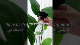 Décoration intérieure كيفية تنظيف النباتات الداخلية الاصطناعية 🌿✨decoration ديكور نباتاتداخلية [upl. by Hedveh]