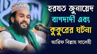 হজরত জুনায়েদ বাগদাদী রঃ এবং কুকুরের ঘটনা আরিফ বিল্লাহ সালেহীArif billah salehi waz [upl. by Annerb]