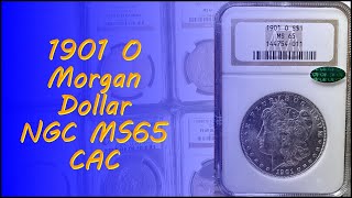 1901 O Morgan Silver Dollar NGC MS65 CAC  GEM New Orleans Old Holder Beautiful [upl. by Larimer]