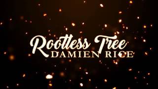 Damien Rice  Rootless Tree Lyrics [upl. by Yebloc946]