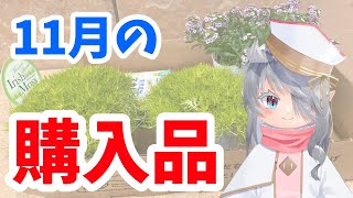 【購入品】カインズで買ってきた11月の購入品紹介！ 【新人Vtuber】【園芸】【ガーデニング】 [upl. by Enymzaj508]