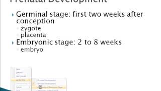 Psychology 101 Prenatal Development [upl. by Hodgson890]