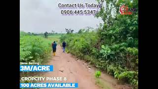 Acres of Farmlands for Sale in OMUIJEBU Ogun State farming agric crops investmentopportunity [upl. by Barhos]