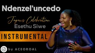 Ndenzele uncedo  Esethu Siwe  INSTRUMENTAL Covered by ACEOROAL [upl. by Acirfa304]