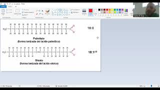 CURSO PREFINAL BIOLOGÍA 2024  PEQUEÑAS Y MACROMOLÉCULAS [upl. by Franci]