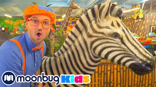 Blippi Explores Jungle Animals Blippi  Jurassic TV  Moonbug Kids [upl. by Odraode654]