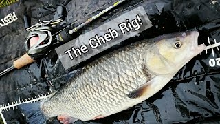 The Cheb Rig  BFS fishing for Big Chub and Perch [upl. by Dave]