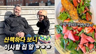 스톡홀름 일상🇸🇪 봄봄봄 봄이 왔어요 해가 길어져서 저녁이 있는 일상🍉 [upl. by Aluin]