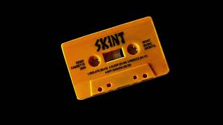 SKINT  DEMONSTRATION TAPE 2024 [upl. by Ellasal]