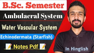 Water Vascular System In Echinodermata  StarFish  Bsc Semester  By Dadhich Sir [upl. by Priestley]