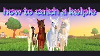 How to catch a kelpie on horse life Roblox 😊😊 [upl. by Icats449]