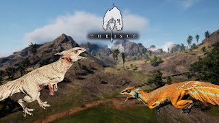 Hypsi Adventure Begins  The Great Hypsi Colony Part 1  Hypsilophodon Gameplay  The Isle Evrima [upl. by Eblehs334]