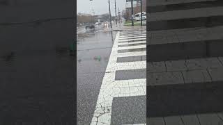 Almost hit at 105th and carnegie how about some help news5cleveland [upl. by Ruhtua495]