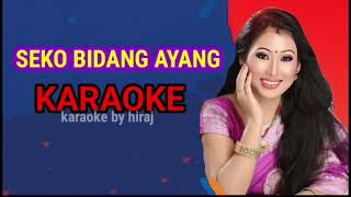 SEKO BIDANG AYANGEMKARAOKE RUPA MILI 2025karaokehiraj [upl. by Gitel393]