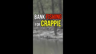 Crappie bank fishing tips for winter [upl. by Ynnatirb483]