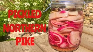 PICKLED NORTHERN PIKE [upl. by Ennaxxor861]