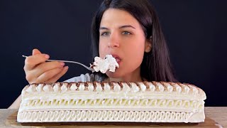 ICE CREAM CAKE  MUKBANG  ASMR  EATING SOUNDS [upl. by Retrak]