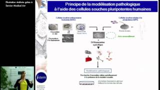 Trouver des médicaments par criblage sur modèles cellulaires [upl. by Eisset]