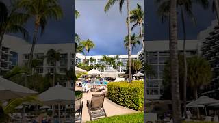 aruba palmbeach resort hotel youtubeshorts travel youtubevideo 🇦🇼🌺 [upl. by Dorsman149]