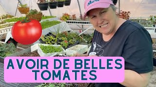 Comment avoir de belles tomates Partie 2  Compilation horticole [upl. by Furey]