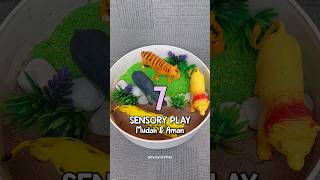 Sensory Play  Ide Main Anak Di Rumah shorts idemainanak [upl. by Lanie]