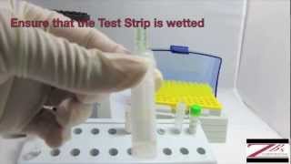 Rapid Methanol Test [upl. by Yecniuq]