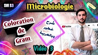 Microbiologie S3 SVI  Vidéo 3 شرح ممتاز 💯👌  شرح بالعربية  Coloration de Gram [upl. by Mosier]