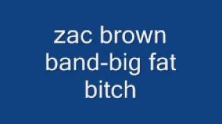 zac brown bandbig fat bitch [upl. by Milzie]