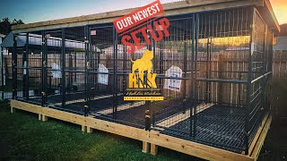 The Outdoor Dog Kennel Setup that Just Keeps Getting Better The Build and Setup  North Carolina [upl. by Hyps35]