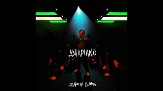 Asake Ft Olamide  Amapiano Official Lyric Video [upl. by Novj]