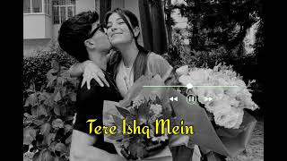 Tere Ishq Mein LOFI SONG  Instagram Mind Relaxing Lofi Song  Instagram Trending Lofi Song [upl. by Daukas]