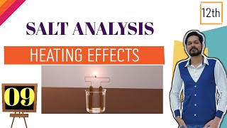 Salt Analysis9  Heating Effects । Class 12  Supertrick for Basic Radicals [upl. by Elletnuahc]