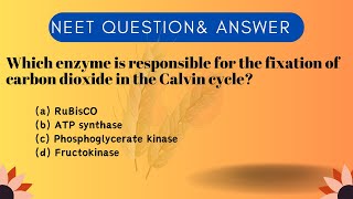 NEET Exam Plant Physiology  Essential Questions for Biology Success  MustKnow QampA [upl. by Eednim]