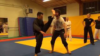 Pencak Silat stage avec Hugo Tronche Professeur de Pencak amp Self Défense [upl. by Ailemaj]