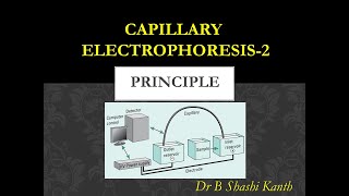 Capillary Electrophoresis2Principle [upl. by Aiyn]