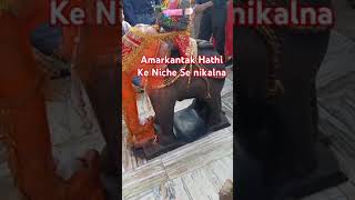 Hathi Ke Niche Se nikalnaAmarkantakMaa Narmada Amarkantak Mandir Shiv Shankar video viral [upl. by Trey863]