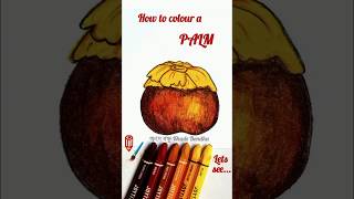 Palm Drawing  Easy palm drawTal Drawing  How to draw Palm step by step  তাল আঁকা শিখি সহজ নিয়মে [upl. by Ceciley]