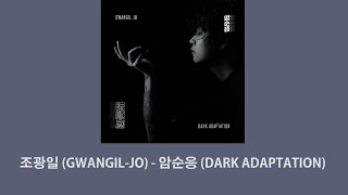 조광일 GwangilJo  암순응 Dark Adaptation ENGKOR SUB [upl. by Shandee]