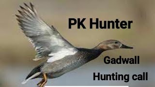 Gadwall Hunting call [upl. by Naehs672]