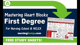 What is First Degree Heart Block Type 1 ECG Telemetry Nursing KAMP NCLEX 2019 Prep [upl. by Natsirhc523]